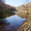 あざみくぼ沼（埼玉県滑川）