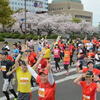 さが桜マラソン２０１６