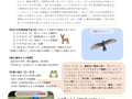 サトツナギの新企画