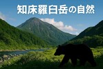 【なぜ？】知床ヒグマ襲撃で26歳男性死亡の背景にある課題