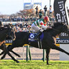 競馬初心者必見☆馬券予想🔥〜ジャパンC〜世界最強馬が歴代最強馬になる時