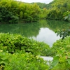 原谷池（奈良県天理）