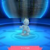 やりきりました