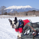 趣味一筋❣️キャンカーライフと写真撮影