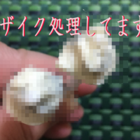 鼻毛処理 Gosso で ごっそり 鼻毛を抜いてみた イタタタタ 専業主夫への道 鼻毛処理 Gosso で ごっそり 鼻毛を抜いてみた イタタタタ 専業主夫への道