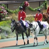 散策12日目　初めての競馬場