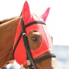 今週の出走馬(３頭)。