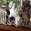 あつみ温泉であつみ詩鶴に会う