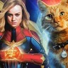 猫好きならMCU映画「キャプテン・マーベル」がおすすめ🐈グースという猫がキュート