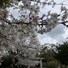 ぷらり散歩です。安神社です。