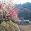 梅の香漂う裏高尾