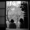 京都観光×モノクローム。一眼レフカメラで残した別世界。
