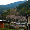 中岡慎太郎遺髪墓地の風景。