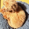 ぼっこ初めの久喜