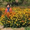 １０月２日（水）山形川西町のダリア、長谷堂城跡の彼岸花、寒河江のコスモス疲れたなぁ、