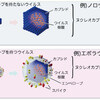新型コロナウイルスにもプラズマが効果バツグン