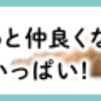【柴犬】私の好きな愛犬の顔ランキング