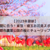 【2023年4月最新】満開の桜に広大なチューリップ畑！都市農業公園【足立区お花見スポット】