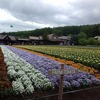 北海道旅行3日目〜富良野ラベンダー畑〜