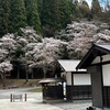 【長野県大町市】霊松寺の春、桜を見に訪れました