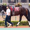 ゆくゆくはスプリント王を狙える素材も、３歳の現時点でＧ１で年輩馬を相手に互角に渡り合うのは簡単ではありません。ここはチャレンジャーの立場。結果を恐れずに立ち向かっていって欲しい。☆ピクシーナイト