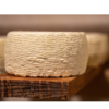チーズプロフェッショナル検定合格に向けての問題集㊸