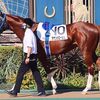 ２４日に美浦・手塚厩舎へ。次走は来月２３日の東京・ダ１６００ｍへの出走が濃厚。☆アナンシエーション