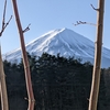 富士山を見に行く