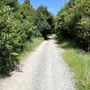 DAY#54 1079km to Taumarunui (21)