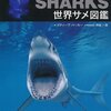 本日の☆公園サメ投棄の「犯人」が暴かれる