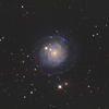 こじし座の銀河NGC3344