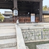東寺の五重塔特別公開＆梅を見に行ってきました