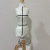 マイドールのトルソーを作った！