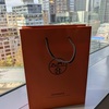2025年　春の思い出　エルメスシドニー