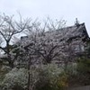 勝俣部長の「ため息」１５４２････勝っちゃん　効果