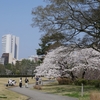 石垣と桜「金沢城公園」