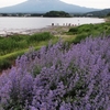 河口湖ハーブ館