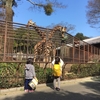 ボーナスタイムさようなら