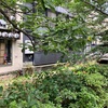 京都たのしかった自慢vol1