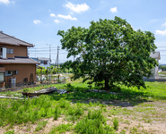 利用率が低そうな土地