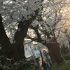 『#0325緊急新宿大街宣』と、かなり風変わりだが、かなり感動する：映画『ダウンサイズ』