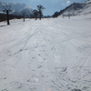 雪の上のカワゲラ　2013年2月中旬