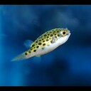 山田智のスキンケアブログ