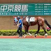 メジャークオリティ、中京で未勝利脱出だ