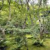 【祇王寺】苔と青もみじが輝く「癒しの楽園」へ！梅雨で潤う新緑の苔庭に浸る