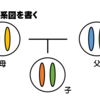 高校の授業で「血縁度の計算」