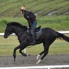 モデュロール、京都デビューへ。