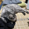 小さな幸せ