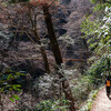 ２月の高尾散歩／2025年初登山は冬の終わりの高尾をお散歩