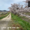 ９回連続で脚に優しい地面を走る